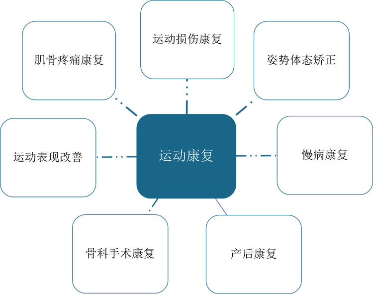 运动康复主要服务内容