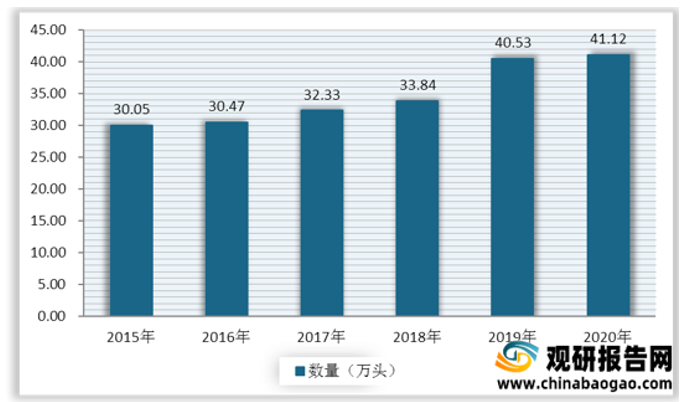 市场运营规划,市场运营规划方案