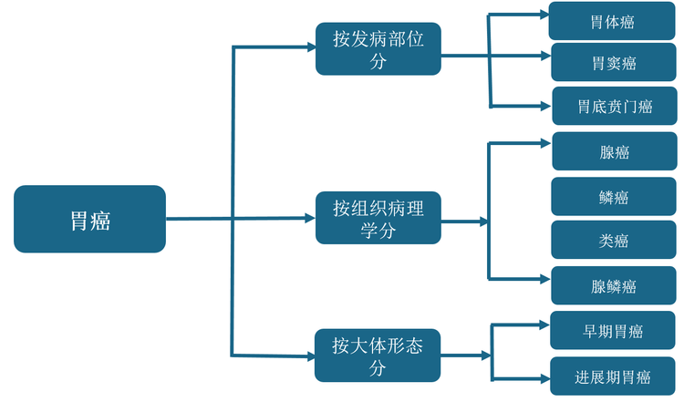 胃癌分类