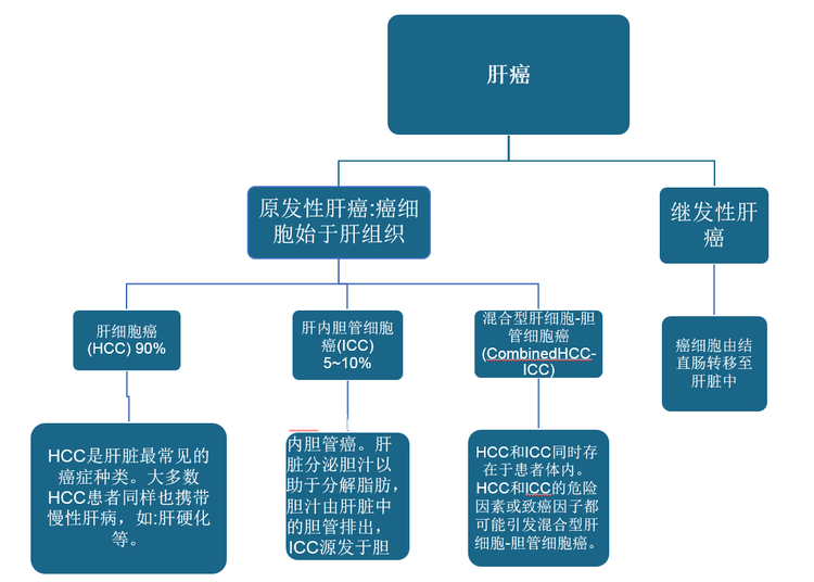 肝癌分类