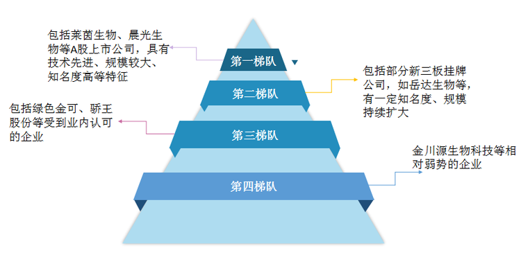 中国植物提取物行业竞争梯队