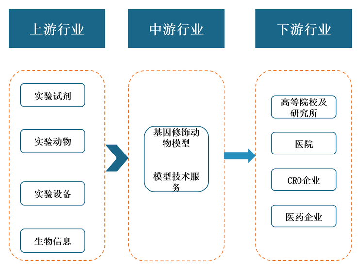 基因修饰动物模型行业产业链