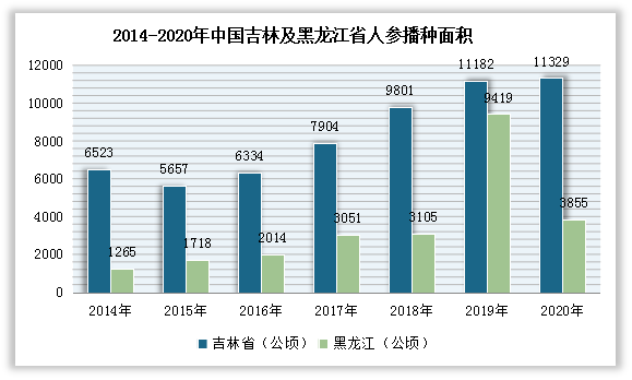 我国是全球人参最大产地国，产量合计约占世界总量70%以上。目前人参种植分布于辽宁东部、吉林东半部和黑龙江东部，河北、山西、山东有引种。数据显示，2020年中国吉林人参播种面积约为11329公顷，同比下降1.3%；黑龙江省人参播种面积约为3855公顷，同比下降59.1%。