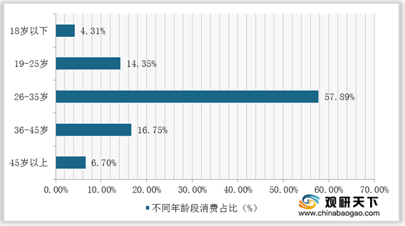 <strong>2020年我国密室逃脱消费者年龄层次分布情况</strong>