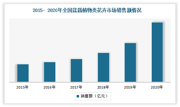 消费端：自2015年以来，我国盆栽类花卉市场销售额呈现出明显上升趋势。初步测算2020年盆栽类花卉销售收入约为622亿元。