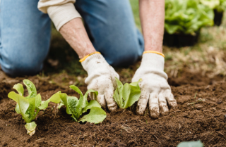 全國及各省市化肥行業相關政策匯總 做好保供穩價工作