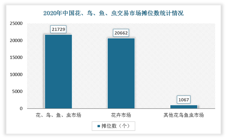 2020年中国花、鸟、鱼、虫交易市场摊位数为21729个、花卉市场摊位数为20662个、其他花鸟鱼虫市场摊位数为1067个。