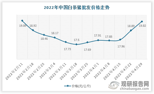 根据数据显示，2022年4月29日中国白条猪批发价格走势为19.82元/公斤，环比4.92%，环比变化0.93元/公斤。