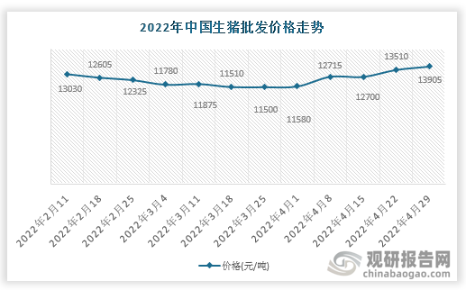 根据数据显示，2022年4月29日中国生猪批发价格走势为13905元/吨，环比2.92%，环比变化395元/吨。