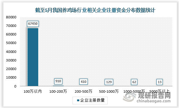 我国养鸡场行业以小型企业为主。截至2022年5月，我国养鸡场行业相关企业注册资本中100万以内的企业数量最多，为67450家，占比达97.79%。