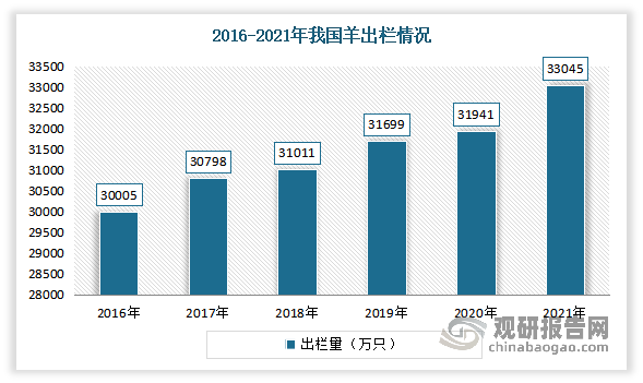羊出栏方面，近年来我国羊出栏量不断增加。数据显示，2021 年我国羊出栏33 045.0 万只，创历史新高，比上年增加1 104.0 万只，增幅达3.5%。