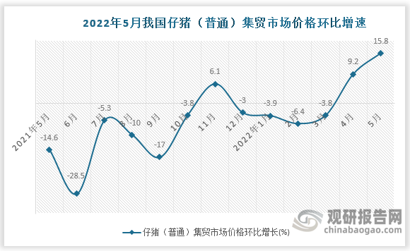 根据国家统计局数据显示，2022年5月我国仔猪（普通）集贸市场价格环比增速为15.8%，同比增速为-45.1%。