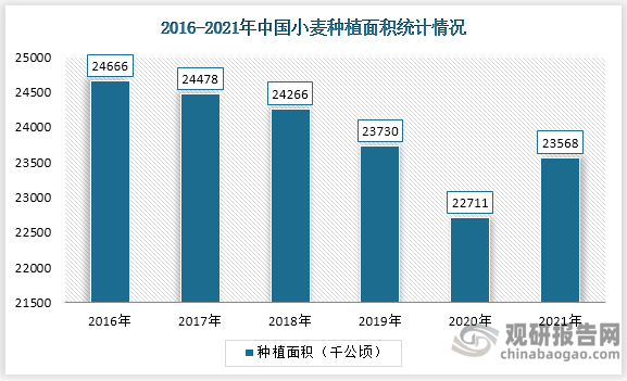 根据国家统计局数据显示，2017-2020年中国小麦种植面积呈现下降趋势，2020年度中国小麦播种面积为22711千公顷，较2019年下降4.29%。2020-2021年中国小麦种植面积呈增加趋势，2021年中国小麦播种面积为23568千公顷。