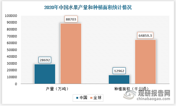 中国作为全球果业大国，年产量和种植面积均居于全球TOP1。2020年中国水果产量全球占比32.3%，种植面积占比19.5%。但相比欧美国家，我国果林机械化水平仍较低。