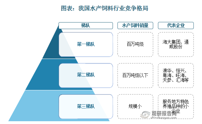 从销量看，除了海大集团和通威股份这两家百万吨级的巨头外，其余企业的水产饲料销量鲜有超越百万吨。目前，整个行业的竞争格局呈现出海大集团和通威股份作为两强的第一梯队，澳华、恒兴、粤海、旺海、天参、汇海等作为中型企业的第二梯队，剩下的大多是服务地方特色养殖品种的小企业。