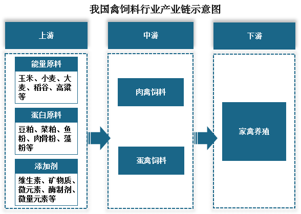 我国禽饲料产业链来看，其上游主要是禽饲料的原材料，包括能量原料（玉米、小麦、大麦、稻谷、高粱等）、蛋白原料（菜粕、棉籽粕、豆粕、鱼粉、肉骨粉等等）以及添加剂（维生素、矿物质、微元素、酶制剂、微量元素等）；行业中游则是禽饲料，主要包括肉禽饲料和蛋禽饲料；其下游则是为以鸡、鸭、鹅等为主的家禽养殖业。