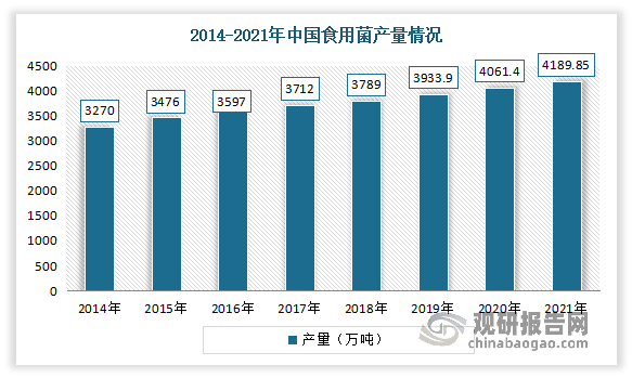 自2010年以来，我国食用菌产量连年平稳增长，是世界上食用菌产量增长最快的国家。数据显示，到2021年中国食用菌产量达到4189.85万吨，产值达3696.26亿元。