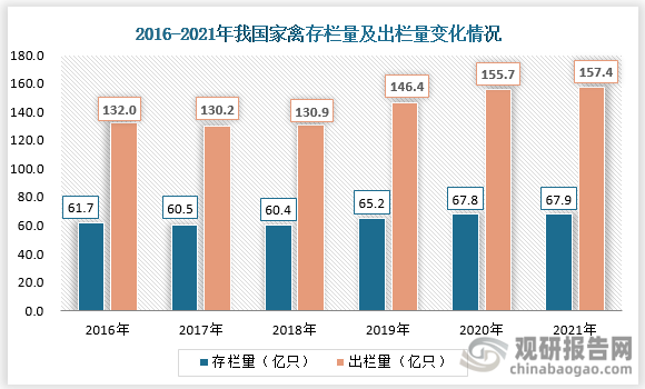 在相关政策的支持下，我国家禽饲养规模整体得到扩大。根据数据显示，从2016年到2021年我国家禽存栏量和出栏量整体均呈现波动增长态势，2016年我国家禽存栏量约为61.7亿只，出栏量约为132亿只；到2021年家禽存栏量便增长至67.9亿只，出栏量则增长至157.4亿只。