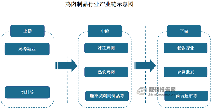 在鸡肉制品行业产业链中，上游主要是养殖、饲料行业，是各种鸡肉类原材料的来源；行业中游包括速冻鸡肉、熟食鸡肉和腌熏类鸡肉制品的加工与生产；行业下游主要应用于餐饮行业、农贸批发以及商场超市等领域，最终销往终端消费者。