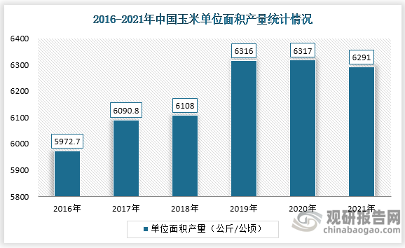 单位面积产量方面，虽然2021年玉米单产有所下降，为6291公斤/公顷，比上年度减0.4%。但从2016-2021年来看，总体呈现增长态势，玉米单位面积产量从2016年的5972.7公斤/公顷增长到了6291公斤/公顷。