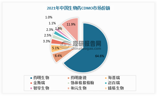 CDMO分为小分子药物（化学药物）领域CDMO和大分子药物（生物药）领域CDMO。小分子CDMO产业链包括基础化学品、中间体、原料药、化学制剂等服务；大分子CDMO产业链包括抗原材料、蛋白及抗体制备、稳定细胞系与工艺开发、生物制剂等服务。虽然像药明生物等公司在生物药领域具有较高的市场份额，但总体上，并未产生绝对的行业领导企业。