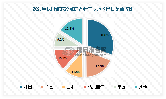 鲜或冷藏的香菇方面，2021年韩国、马来西亚及美国等是主要出口地区，出口数量分别为5448124千克、3053654千克、2373146千克。从金额来看，韩国是我国鲜或冷藏的香菇最主要出口地区，出口金额为15477670美元，占总出口金额的31%。