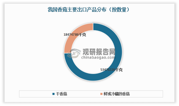 从主要出口产品来看，干香菇是我国香菇主要出口产品。数据显示，2021年我国干香菇出口数量为53476226千克，同比下降9.2%；出口金额为860074510美元，同比下降9.8%。鲜或冷藏的香菇出口数量为18474786千克，同比增长7.9%；出口金额为49900572美元，同比增长20.3%。