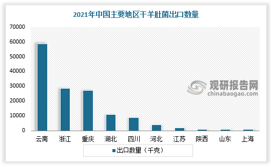 从我国各地区出口干羊肚菌情况来看，2021年我国云南省干羊肚菌出口规模最大，出口数量为58501千克，出口金额为6912410美元，占总出口金额的37.04%。