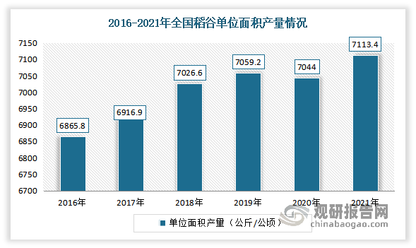 数据显示，2016-2019 年，我国水稻单产从 6865.8公斤/公顷增加至 7056.20 公斤/公顷。2020年由于长江中下游部分地区早稻生长期间遭遇严重洪涝灾害，我国水稻单产同比下降0.21%，降至7040.20 公斤/公顷。2021年，我国水稻单产达到 7113.40 公斤/公顷，同比增长 1.04%，创下新高。