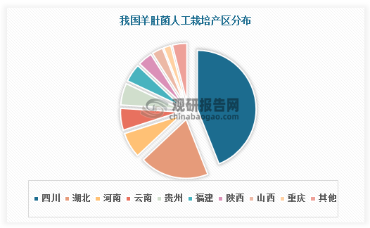 资料来源：观研天下整理