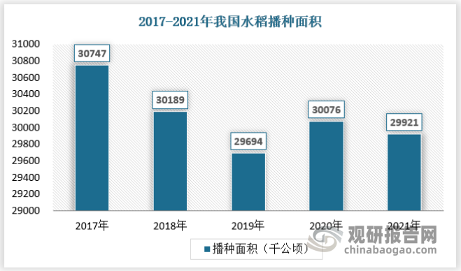 2021年，由于近年来玉米等谷物价格大幅上涨，农民种植意愿大幅增加等因素，我国稻谷种植面积略微有所下降。2021年，全国稻谷播种面积29921千公顷。具体如下：