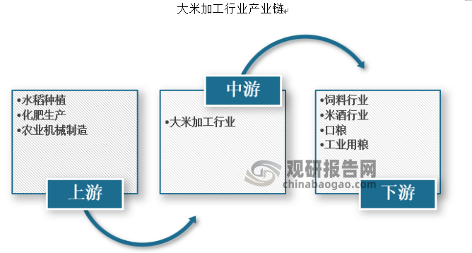 根据观研报告网发布的《》显示，从产业链来看，我国大米加工行业的上游主要是水稻种植、化肥以及农业机械行业，下游行业则主要是口粮市场、工业用粮市场、饲料用粮市场和米酒等行业。