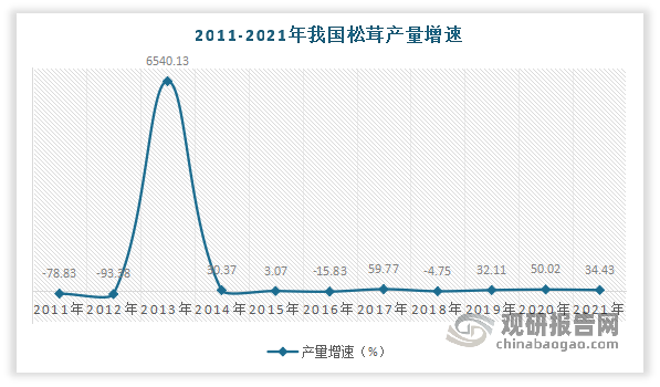从增速来看，我国松茸产量方面波动较大，在2021年为最低，为-93.38%，2013年增速达到顶峰，为6540.13%。 2021年我国松茸产量增速为34.33%。