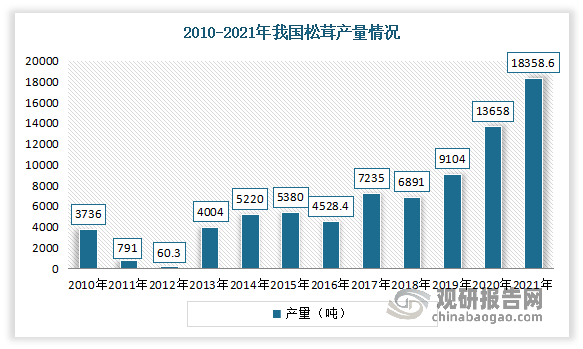 2010-2021年我国松茸行业快速发展，产量逐年增加。数据显示，2021年我国松茸产量从2010年的3736吨增长到了18358.6万吨。