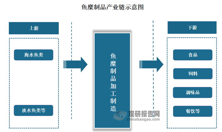 根据观研报告网发布的《》显示，速冻鱼糜制品作为食用鱼肉产品的后续加工产品，是水产品深加工的重要组成部分，因此其产业链上游为海水鱼类、淡水鱼类等原材料供应商；中游为鱼糜制品加工制造产业，下游则为食品、饲料、调味品等应用领域。