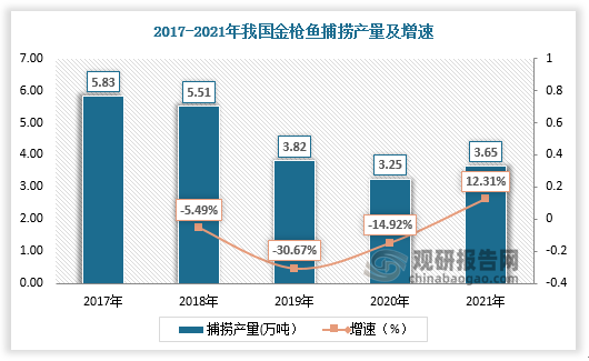 2017-2020年我国金枪鱼捕捞产量由5.83万吨下降至3.25万吨，2021年随着我国对渔业管控力度加大，我国金枪鱼捕捞产量有所回升，为3.65万吨，较上年同比增长12.31%。