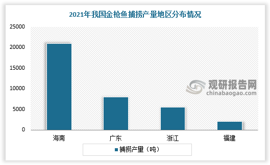 从地区分布情况看，2021年我国金枪鱼捕捞产量主要集中在海南省、广东省、浙江省、福建省等地区，其中海南省金枪鱼捕捞产量最高，为2.09万吨。2021年我国金枪鱼远洋渔业产量主要集中在上海市、浙江省、山东省、广东省等地区，其中上海市金枪鱼远洋渔业产量最高，为11.65万吨。