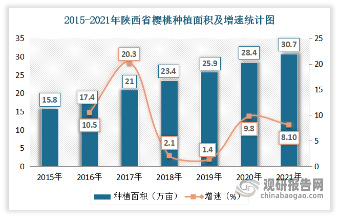 目前陕西是我国樱桃主要的生产地区之一。近年来陕西省樱桃的种植面积、产量不断增长。数据显示,2021年,陕西省樱桃的种植面积为30.7万亩,相比于上年的28.4万亩,同比增长8.1%;产量为14.6万吨,同比增长2.3%。
