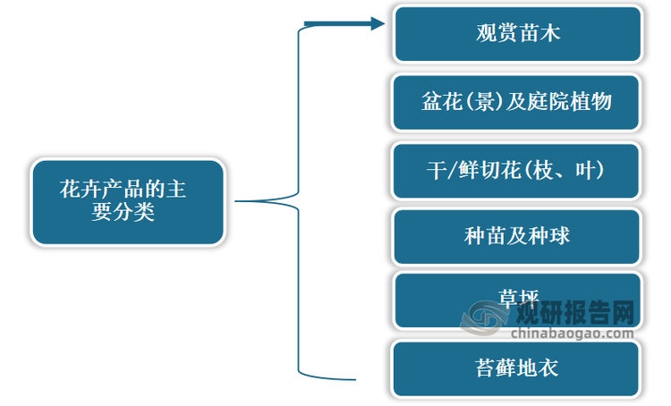 花卉有狭义和广义之分，狭义的花卉是指具有观赏价值的草本植物，广义的是除了观赏价值的草本植物外还包括草本。但在本文里主要讲的是狭义的花卉，也就是具有观赏价值的草本植物。根据植物特性、用途等方面的不同，中国主要的花卉产品可分为观赏苗木、盆花(景)及庭院植物、鲜切花(枝、叶)、种苗及种球、草坪、苔藓地衣六类。