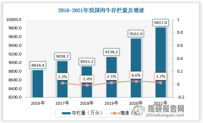 发展肉牛养殖业可以有效地将大量粗饲料、农作物秸秆和食品加工副食品转化为高品质的动物性食品，尤其是动物性蛋白。近年来我国肉牛存栏量及出栏量保持稳定增长。数据显示，2020年我国肉牛存栏量为9562万头，较上年同比增长4.6%；我国肉牛出栏量为4565万头，较上年同比增长0.7%。2021年我国肉牛存栏量为9817万头，较上年同比增长2.7%；我国肉牛出栏量为4707万头，较上年同比增长3.1%。