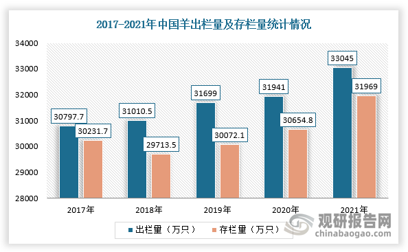 目前我国肉羊养殖区域性格局逐渐稳固。随着人工授精等专业技术推广、肉羊养殖规模养殖加快以及地方优良品种积极引进品种本土化和遗传育种收效显著，羊出栏量和存栏量持续增加。但值得注意的是，羊存栏量却在始终维持在30000万头左右，没有较大增长。特别是近几年羊出栏量大于羊存栏量，面临着可出栏羊数量的不足。根据国家统计局数据显示，2021年，我国羊出栏33045.0万只，同比增长3.5%，羊只出栏率达到107.8%；年末羊存栏31969.0万只，增幅达4.3%。