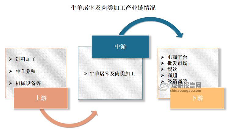 目前我国牛羊屠宰及肉类加工行业涉及产业链较为广泛，其上游为饲料加工业、畜禽养殖业；中游为牛羊屠宰及肉类加工行业；下游则是电商平台、批发市场、餐饮、商超及经销商等消费市场。