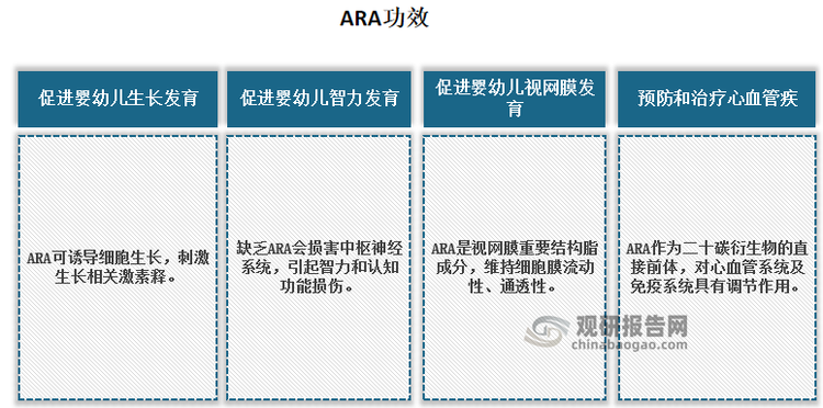 ARA 指花生四烯酸，又称二十碳四烯酸，是人体一系列激素的前体物质，对于凝血机制、免疫反应以及生长发育等都至关重要。ARA 作为机体一系列生理调节激素的前体物质，对脂代谢、糖代谢、凝血机制、肌肉生长、睡眠及免疫反应等生理活动具有调节作用，对于婴幼儿大脑和神经系统的发育至关重要。