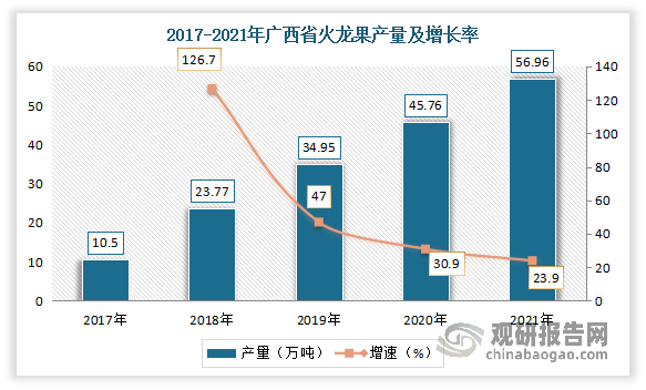 从上表可见，目前广西成为我国种植火龙果面积最大的区域。数据显示，2021年广西火龙果种植面积超30万亩,产量为56.69万吨，已成为国内火龙果第一生产省份，占比国内火龙果产量3成左右。而在广西，南宁市是最大火龙果产区，2021年南宁市火龙果种植面积为18.8万亩；产量达39.8万吨，占比广西省总体产量70.21%。