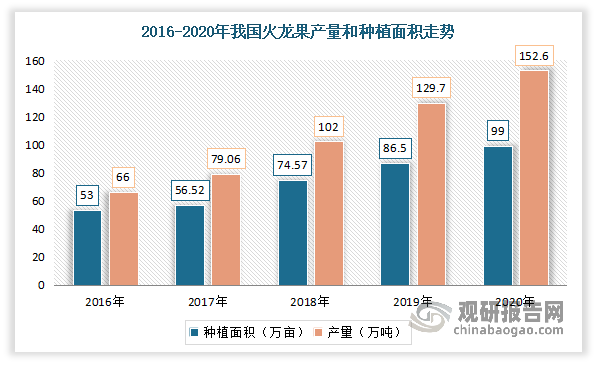 自2016年以来，我国火龙果种植面积和产量持续扩张。到目前我国已是世界上第一大火龙果生产国。数据显示，2020年我国火龙果种植面积为99万亩、产量为152.6万吨。2021年来看，国内火龙果种植面积已超百万亩，且超越越南成为全球第一。