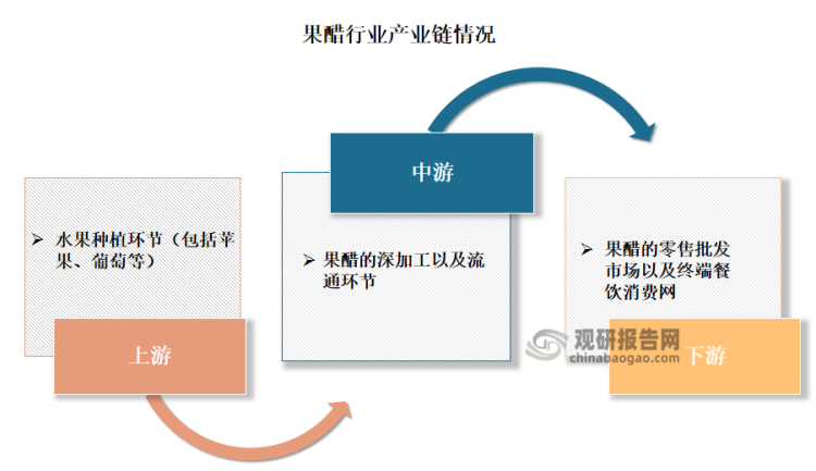 果醋产业链上游是水果的种植环节，中游是果醋的深加工以及流通环节，下游是果醋饮料的消费环节。