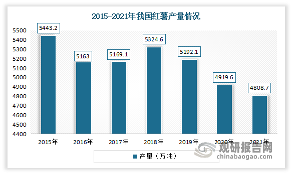 我国是世界上最大的红薯生产国。但近年来我国红薯产量呈现下降态势。数据显示，2021年我国红薯产量约为4808.7万吨。