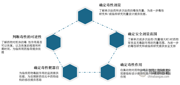 <strong>非临床药物安全性评价重要性简介</strong>