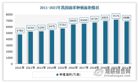 根据林草局数据显示，2011-2021年我国油茶种植面积从4790万亩增长到了6888万亩，扩增了33%；油茶产业产值从245亿元增长到了1920亿元，增长近7倍。