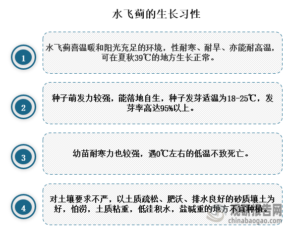 水飞蓟具有清热、解毒、疏肝利胆作用，常用于肝胆湿热，胁痛，黄疸等，水飞蓟喜温暖和阳光充足的环境，性耐寒、耐旱、亦能耐高温，可在夏秋39℃的地方生长正常。